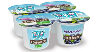 yogur arándanos danone ecológico