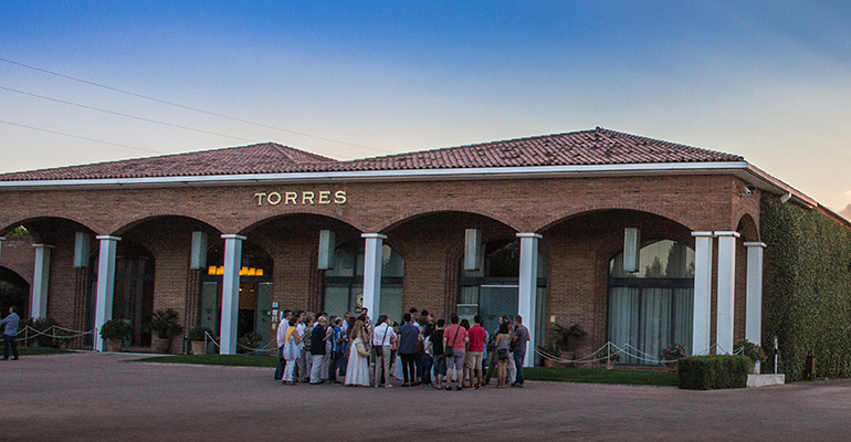 actividades Bodegas Torres