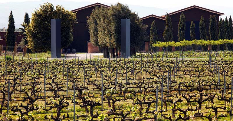 Bodega Heraclio Alfaro - Terras Gauda