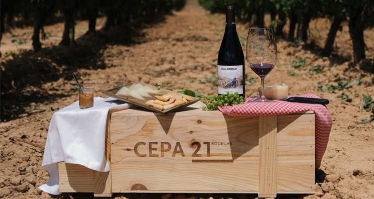 Cepa 21 enoturismo - InfoHoreca