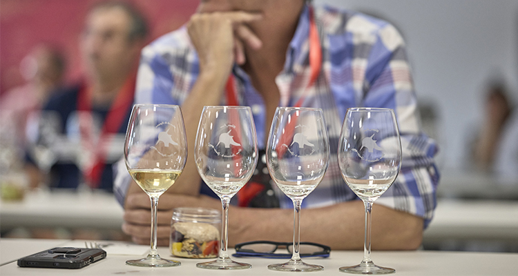Dos jornadas técnicas para abordar el valor estratégico de los Vinos de Pago
