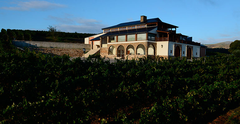 Mil Rios Bodega Terriña Mendez Rojo