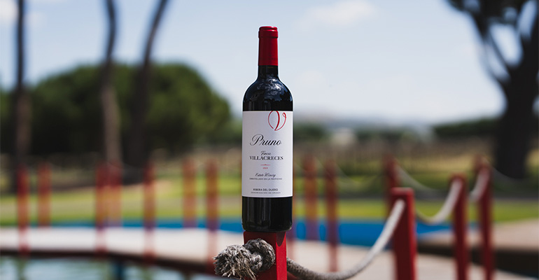El vino Pruno 2023 cambia de aspecto