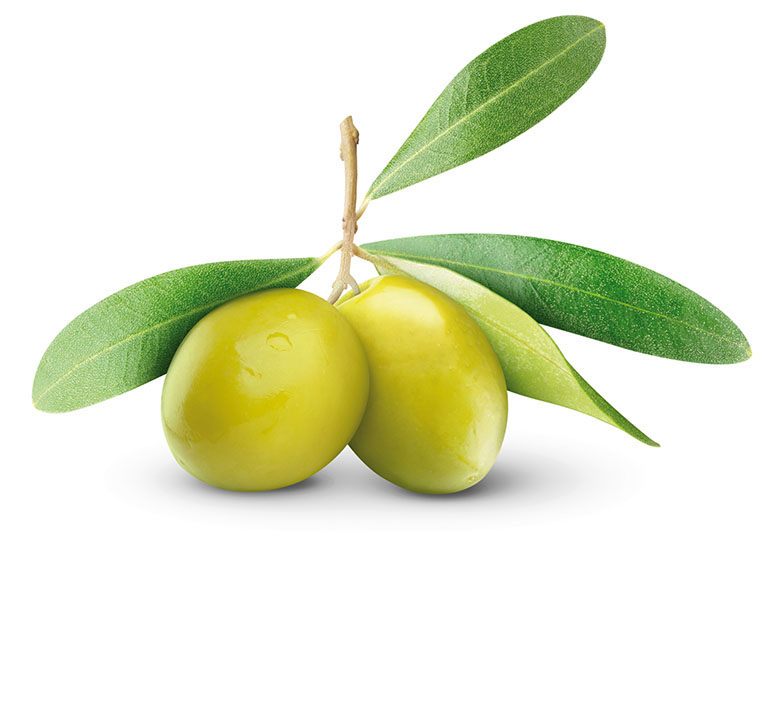 aceituna Ipod