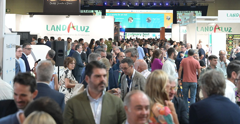 Auténtica 2025 convocatoria
