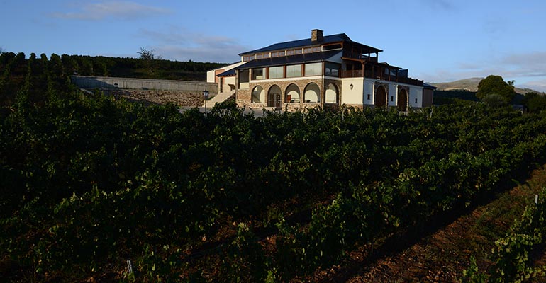 Bodega Terriña Méndez Rojo