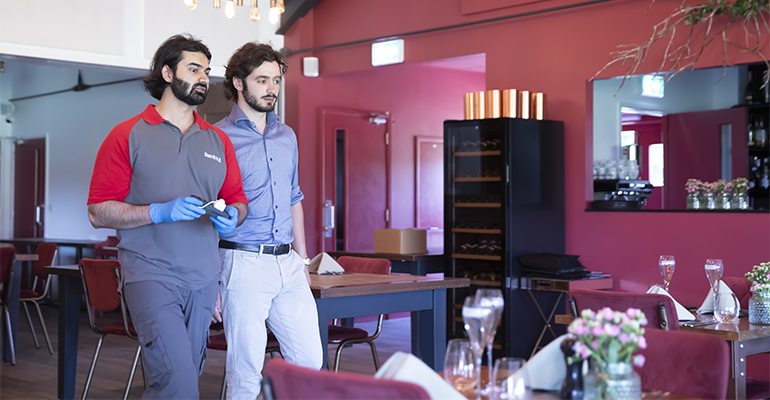 Control de plagas en hoteles: seguridad, transparencia y tecnología