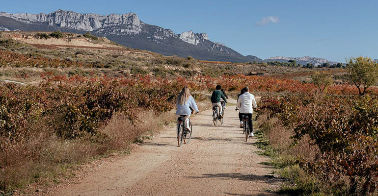 Enoturismo rioja 