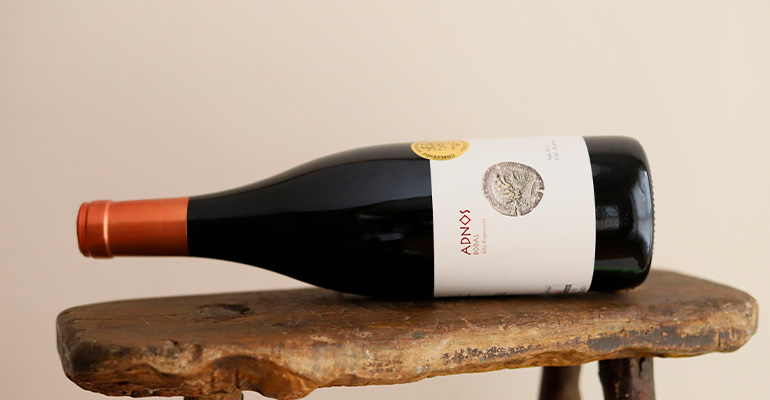 Guía-Peñín-2027-Bodegas-Coviñas-Infohoreca