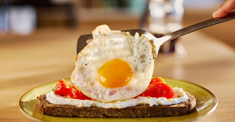 Huevo-dieta-equilibrada-Infohoreca