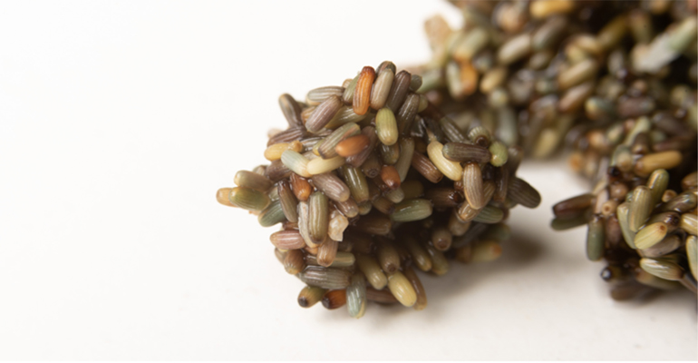 Grano Marino Ángel León