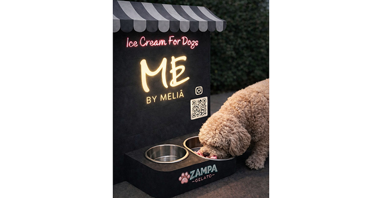 Los helados para perros llegan a las terrazas de Cataluna