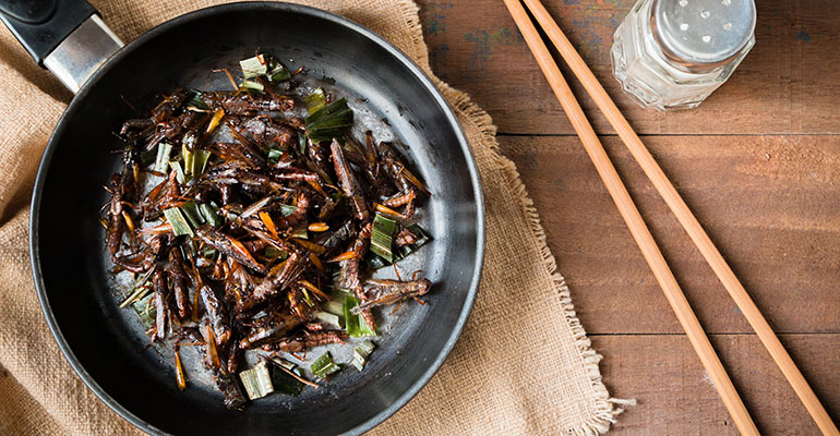 Insectos comestibles: cómo introducirlos en el menú