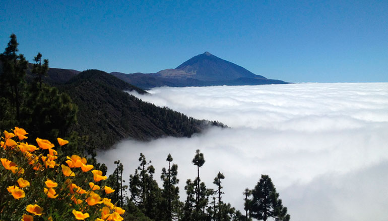 Mar de nubes Islas Canarias