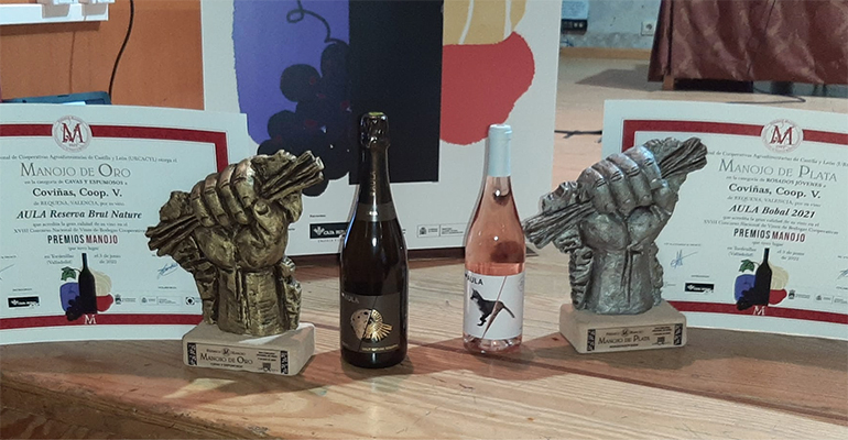 Los vinos Aula de Coviñas son galardonados en los Premios Manojo 2022
