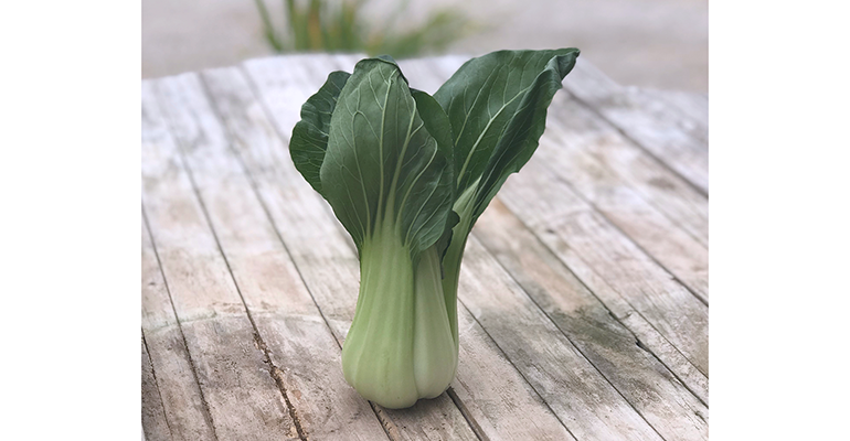 primaflor verduras asiáticas