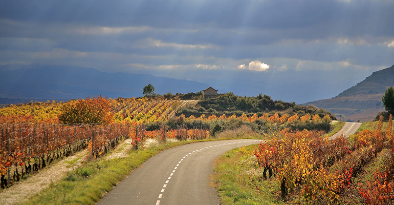 Rioja Alavesa