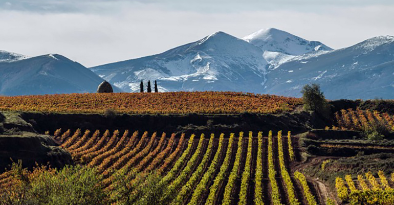 Rioja Alta Badarán