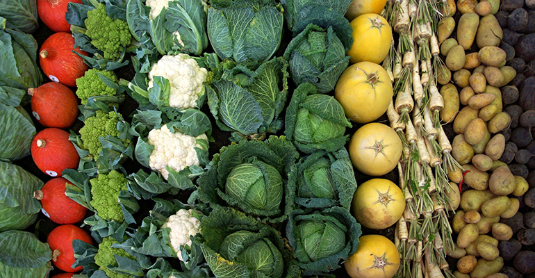 Sabores de Coín: descubre el recetario de los Llanos de Matagallar
