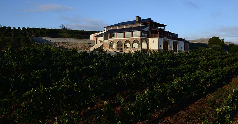 bodega terriña