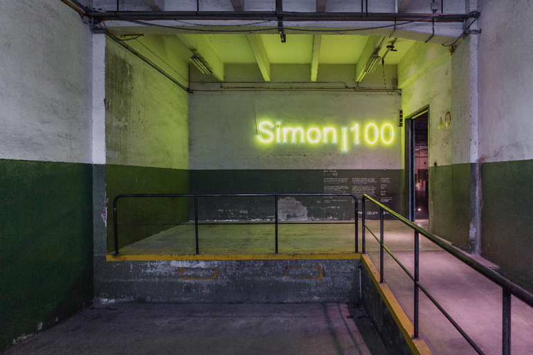 Imágenes del espacio Simon I 100